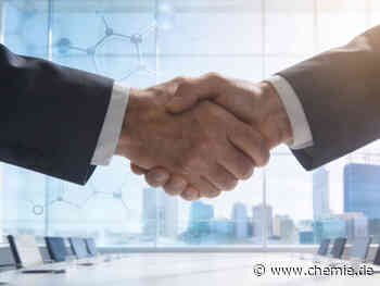 Carlos Negro übernimmt Vorsitz des World Chemical Engineering Council