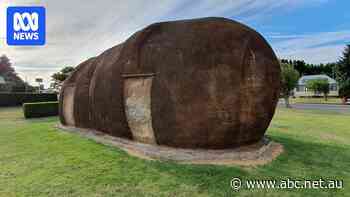 Robertson's Big Potato 'safe for the time being' amid court appeal
