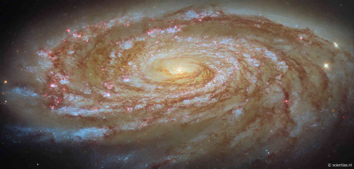 Deze Hubble-foto van Messier 88 is een voorproefje van een kosmische sloopkogel