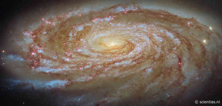 Deze Hubble-foto van Messier 88 is een voorproefje van een kosmische sloopkogel