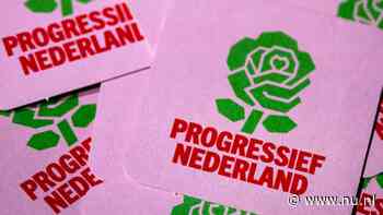 Raad van State keurt naamswijziging GL-PvdA goed in zaak lokale Pro-partijen