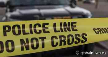 Driver hit and killed while outside vehicle on Highway 401: OPP