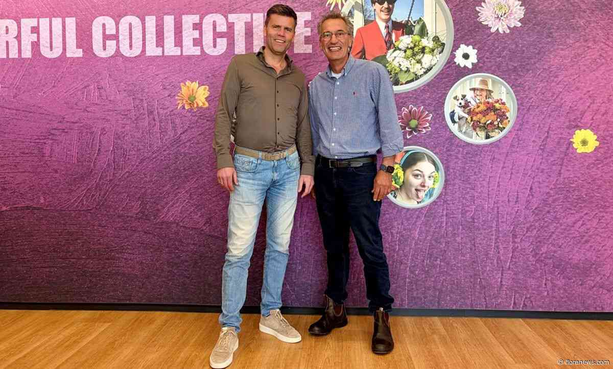 Zentoo stelt nieuw directieteam aan