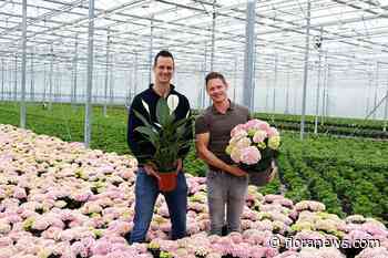 KP Holland en HiBreeding presenteren The future of growing tijdens FlowerTrials
