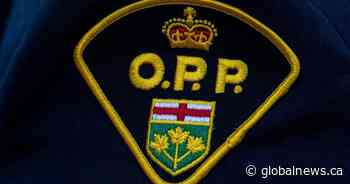 OPP officer demoted for 3 years after slapping officer’s buttock at golf event