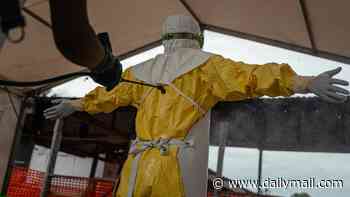 Ebola outbreak 'likely far worse' than what officials report... as cases grow to more than 1,000 in multiple countries