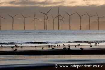The UK government has set a target of an 87% cut in carbon emissions by 2042