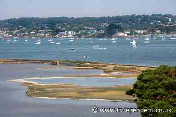 Three arrested in murder investigation as body of missing man found in Poole Harbour