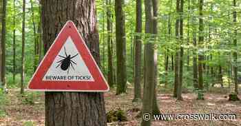 ER Visits Surge and Experts Urge Caution amid Record Tick Season