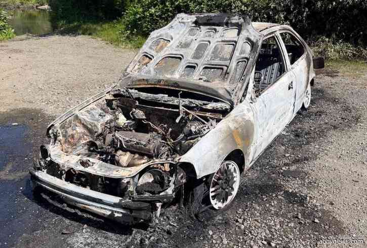 ICBC red tape delays suspicious car fire cleanup in B.C. provincial park