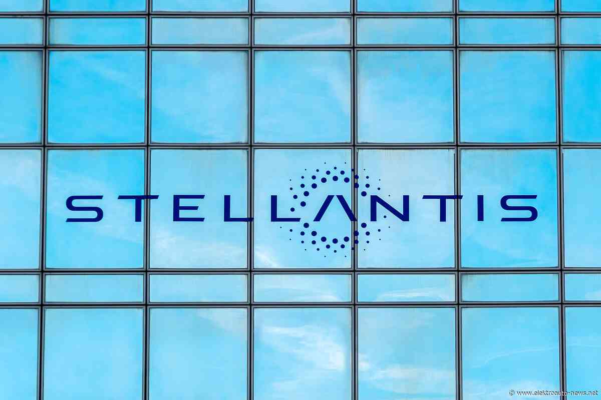 Stellantis Pro One plant bis 2030 elf neue Modelle