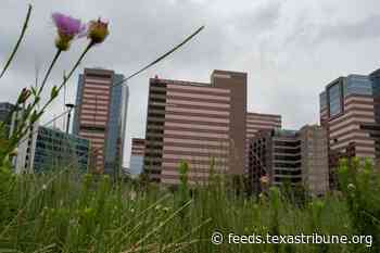 Texas Children’s Hospital’s detransition clinic to launch this year, will include mental health and endocrinology services