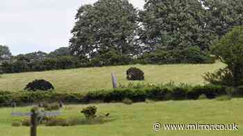 Devon helicopter crash live: Royal Navy aircraft plunges into field near A30