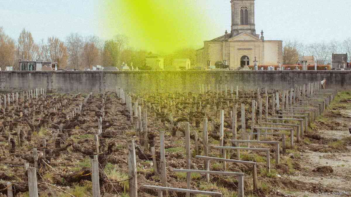 Pestizid-Angst in Frankreich: »Aber wo kommt er denn her, der Krebs?«