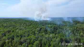 Firefighters focused on protecting homes as 2 out-of-control wildfires burn in Lac du Bonnet