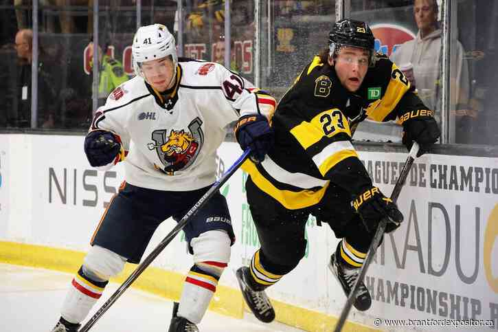 Brantford Bulldogs general manager Spencer Hyman: ‘We won’t stop until we win . . . a Memorial Cup’