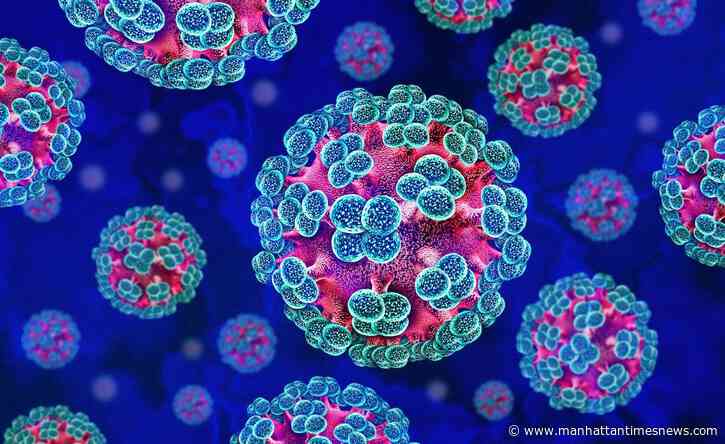 Should You Be Worried About Hantavirus?