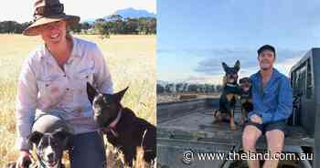 Meet the passionate young farmers shaping the future of the sheep and wool industry
