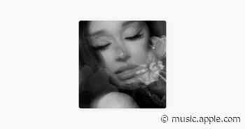 hate that i made you love me (instrumental) - Ariana Grande