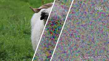 Ein Quantenexperiment macht aus guten Würfeln perfekte Würfel