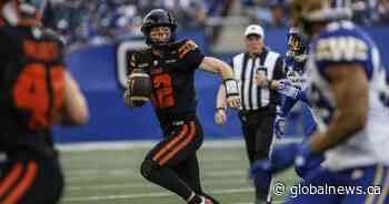 Lions look to build on foundation laid last year