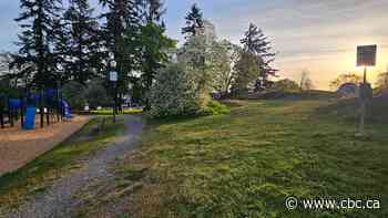 'Urine, feces, used condoms': Overnight camping to be banned from 2 Nanaimo parks due to residents' feedback