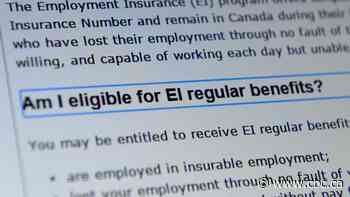 Employment insurance helping fewer Canadians as workforce shifts to gig work, part-time jobs, new report finds