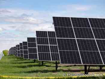 New solar farm starts up in 'bright and sunny' Saskatoon