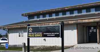 Child in Manitoba charged over video showing dogs being struck with axe
