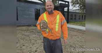 Ball python found at Ontario sewage plant trying to slither to safety