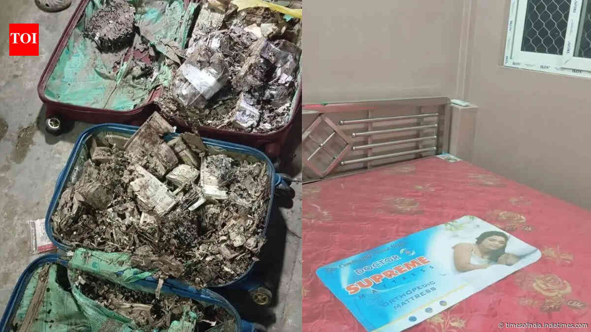 Cash, gun and mystery rooms: Two suitcases stashed with termite-eaten currency notes, firearm found on Kolkata college campus