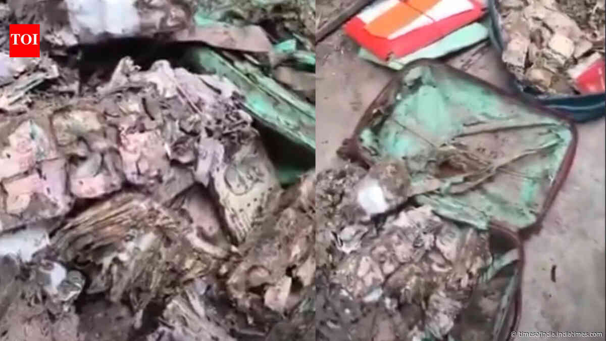Hidden for years, termite-eaten cash worth over Rs 1 lakh found in Kolkata college union room; watch