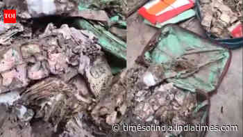 Hidden for years, termite-eaten cash worth over Rs 1 lakh found in Kolkata college union room; watch