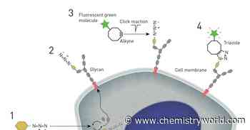 25 years ago click chemistry changed science. What happened next?