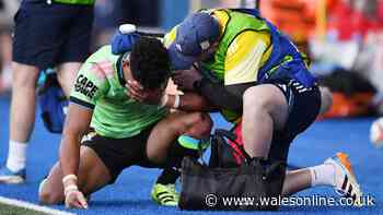 Wales international ends career in glory and Springboks rocked as top star on crutches
