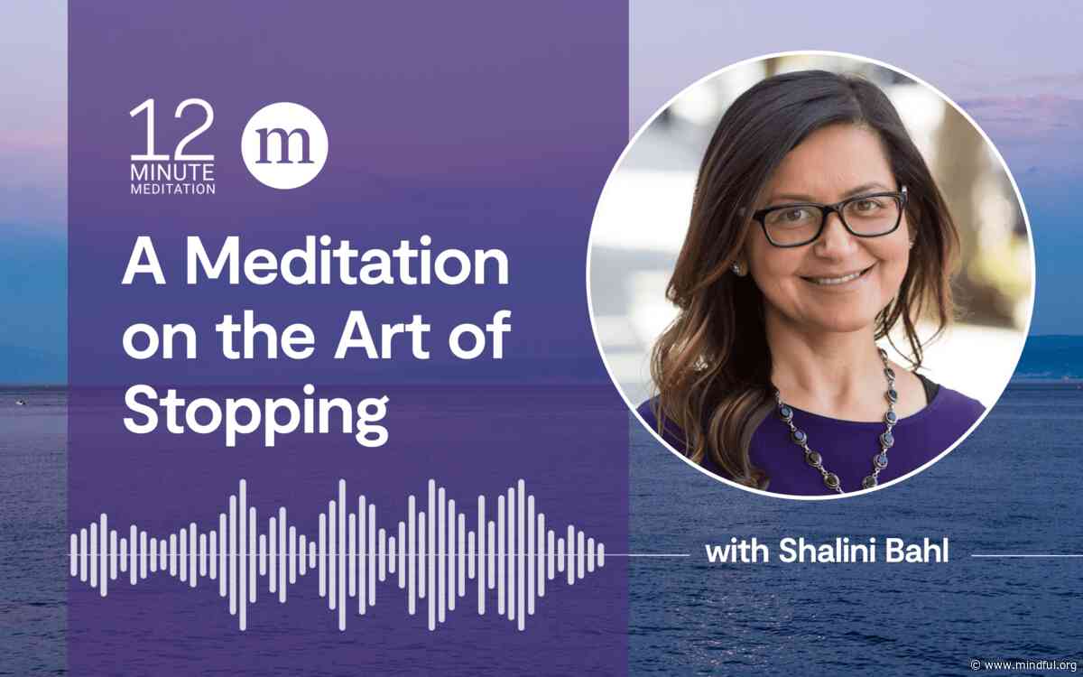 A Meditation on the Art of Stopping (Extended)