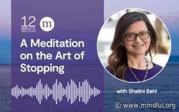 A Meditation on the Art of Stopping (Extended)