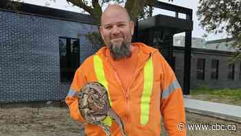 A python was found at a Windsor sewage plant. Was it flushed?