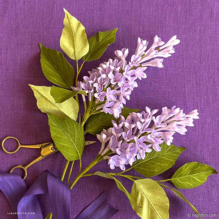 Crepe Paper Lavender Lady Lilac Video Workshop