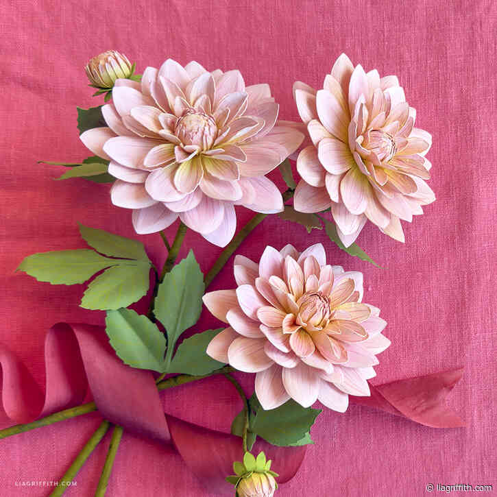 Cardstock Sweet Pink Dahlia Video Tutorial