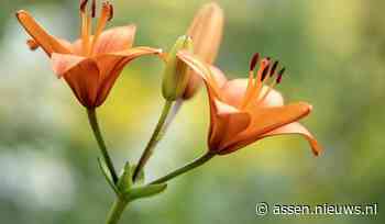 Warm weekend met lokaal onweer, na het weekend wisselvalliger