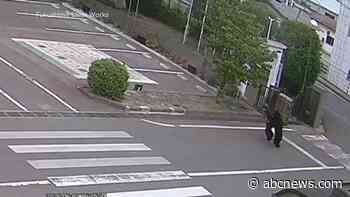 WATCH:  Bear attack injures 4 in Fukushima, Japan, amid surging population