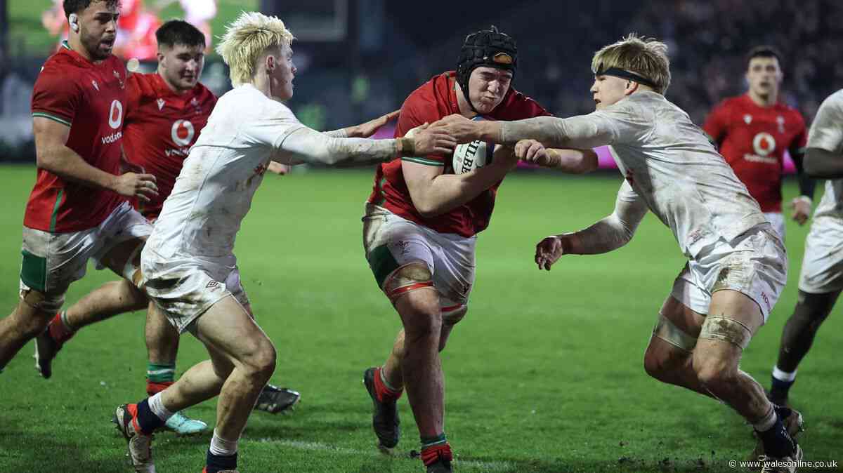Welsh rugby's next big thing predicts his housemate will play for Wales