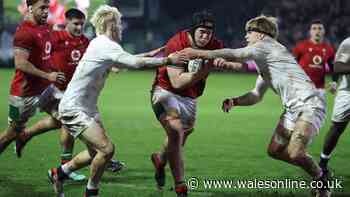 Welsh rugby's next big thing predicts his housemate will play for Wales