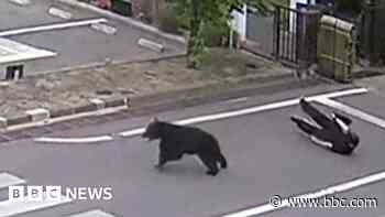 Watch: Man attacked by bear at steel works in Japan