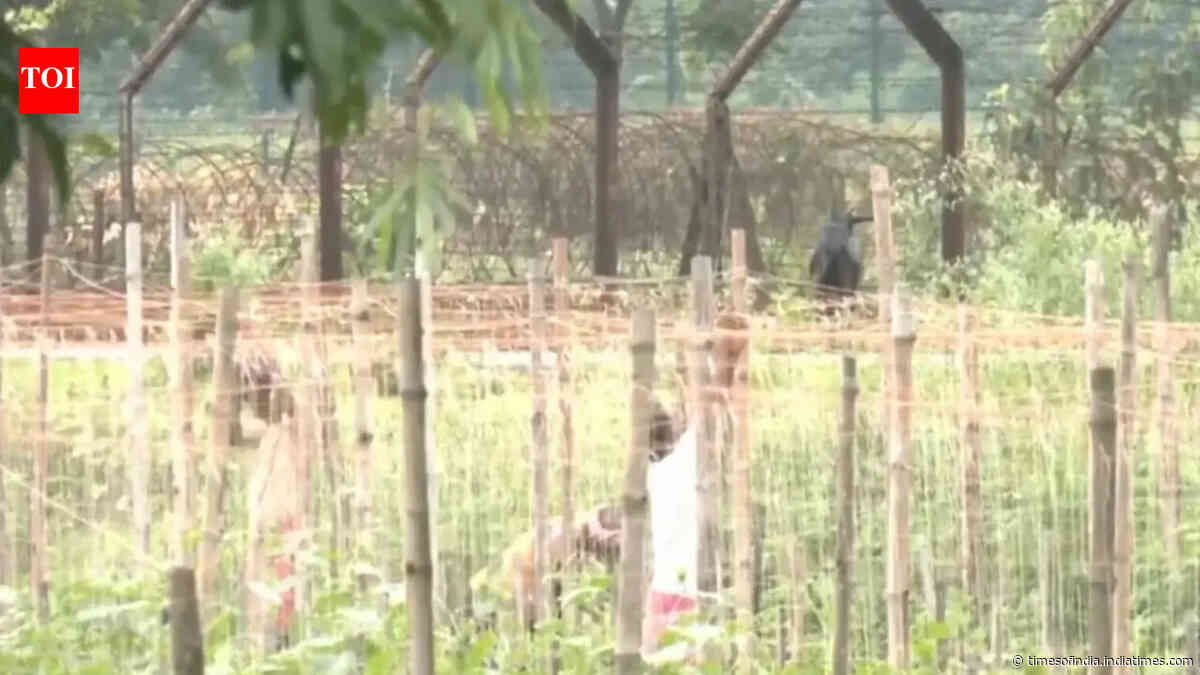 West Bengal govt hands over 32 acres to BSF for India-Bangladesh border fencing