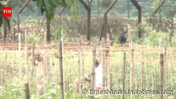 West Bengal govt hands over 32 acres to BSF for India-Bangladesh border fencing
