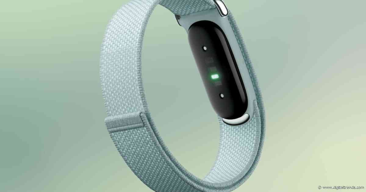 Google wants you to 3D-print your own Fitbit Air bands