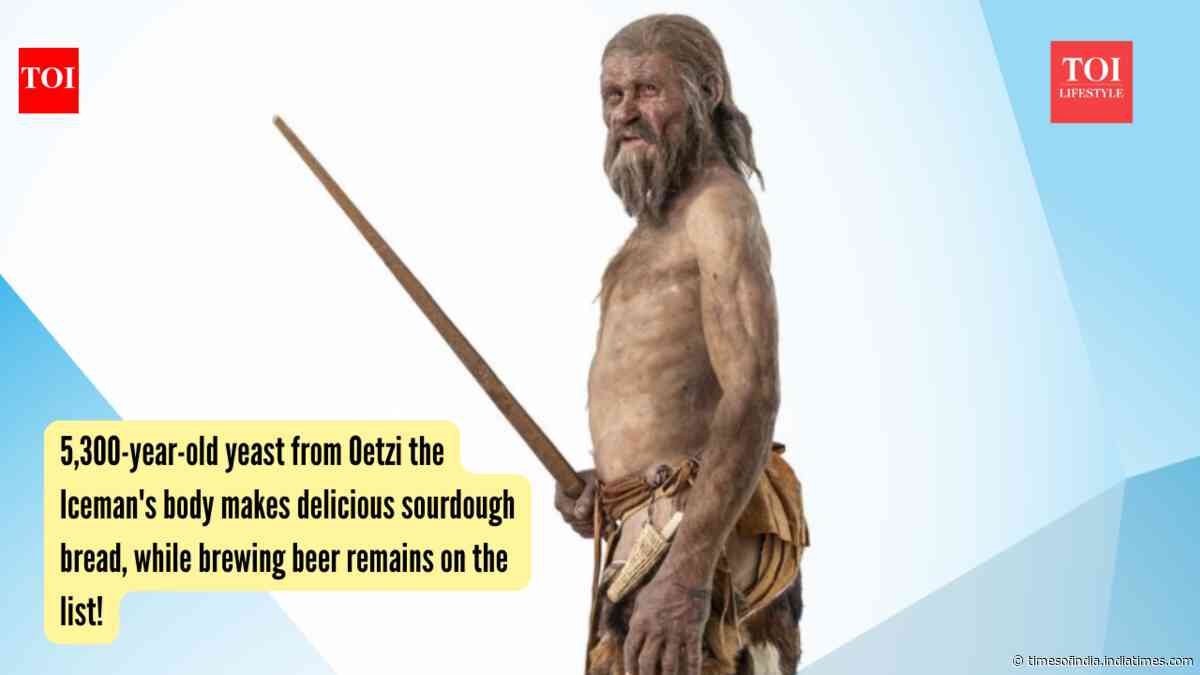 5,300-year-old yeast from Oetzi the Iceman's body makes delicious sourdough bread, while brewing beer remains on the list!
