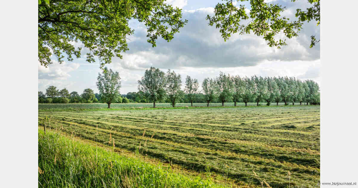 Toenemend draagvlak voor groenblauwe dooradering botst met versnipperde uitvoering